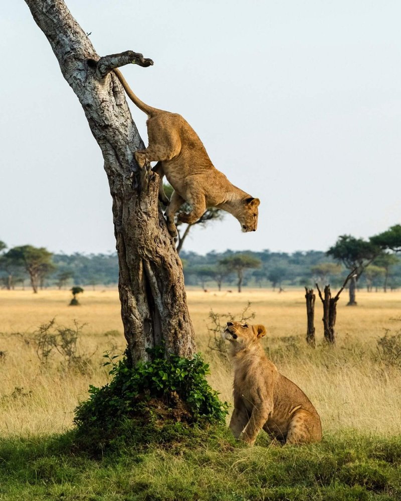Impano Tours